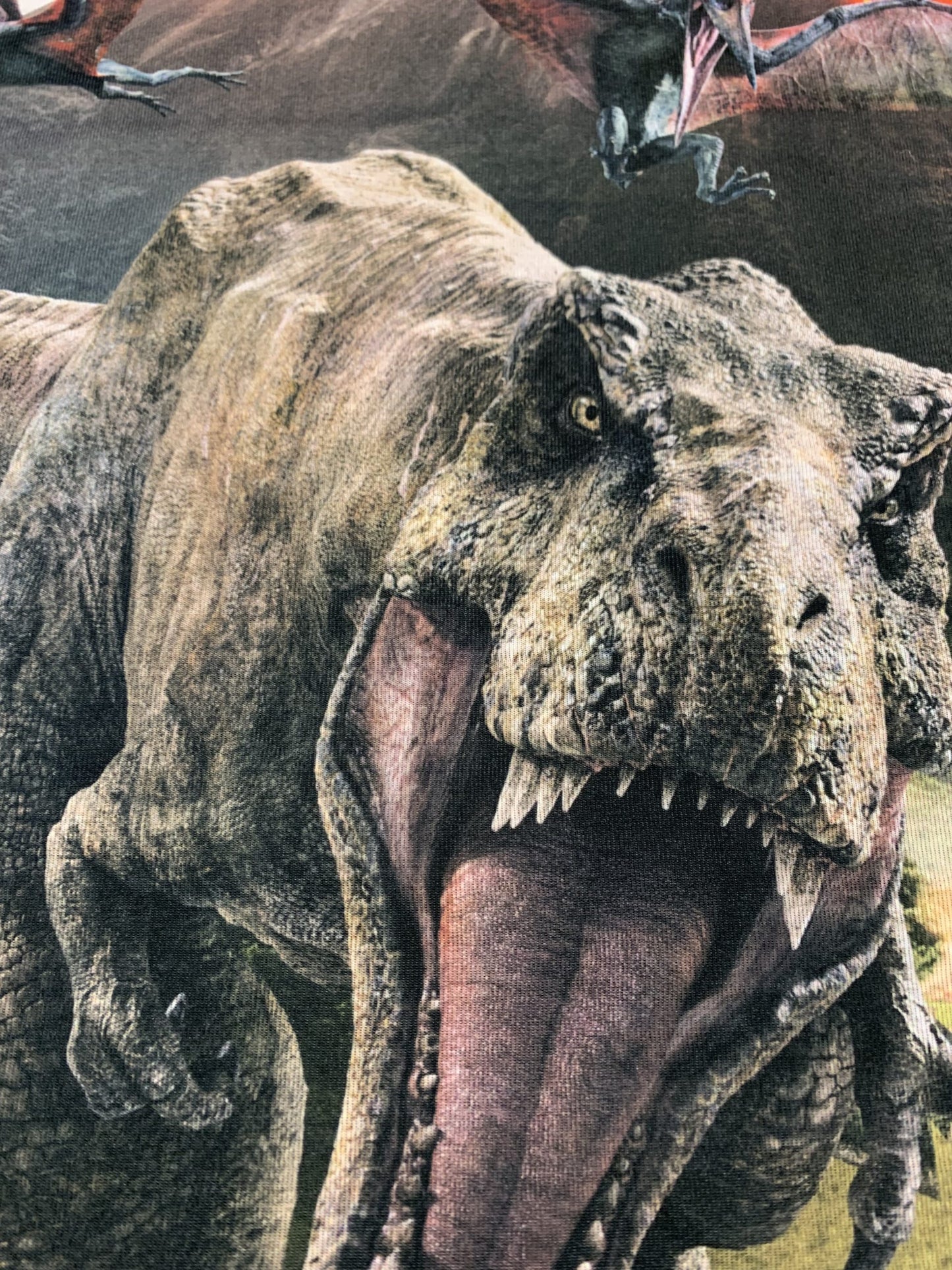 Zēnu krekls - Jurassic World - 12 - 13 gadi