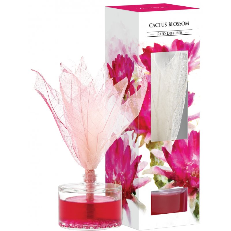 Aromātiskais komplekts - eļļas zieds + eļļa - Aura - Kaktusa zieds - 50ml