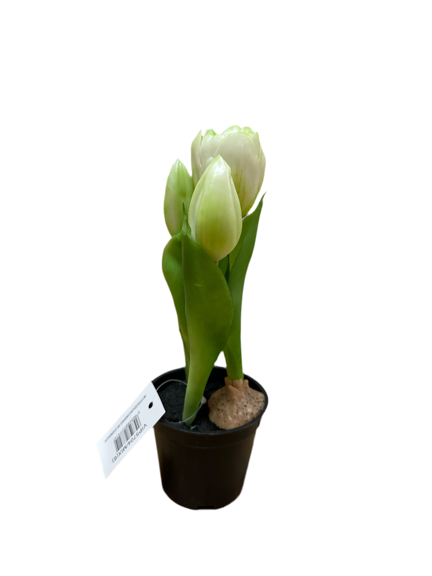 Mākslīgie ziedi- tulpes podiņā, baltas, augstums 24 cm,