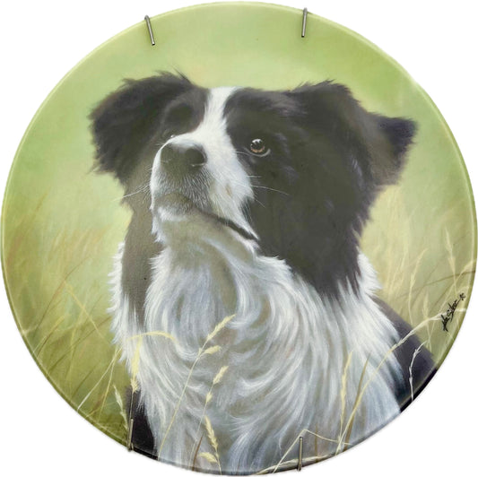 Dekoratīvs porcelāna šķīvis- Royal Worcester - The Border Collie