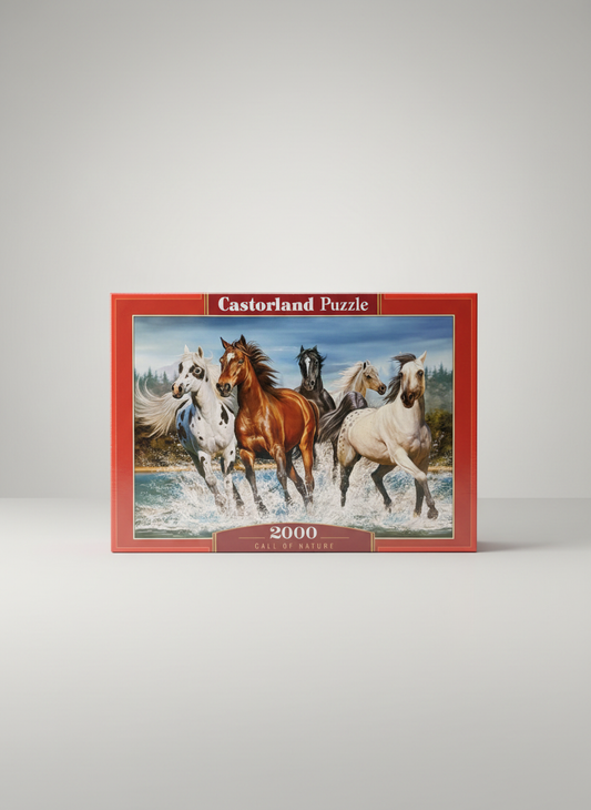 Castorland puzzle with neutral background