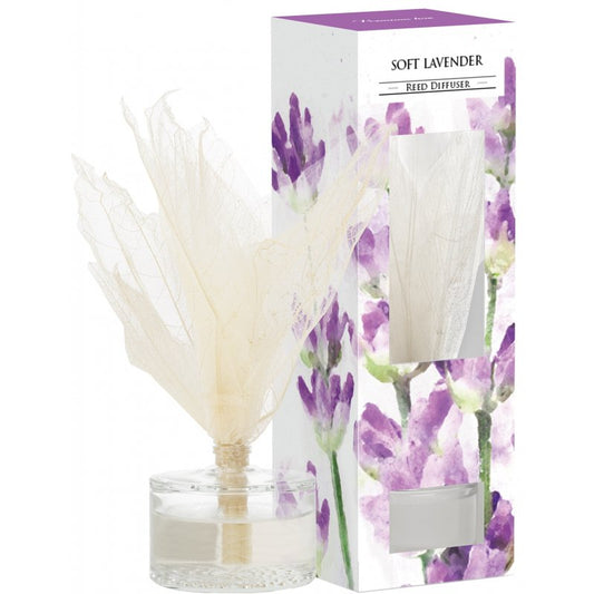 Aromātiskais komplekts - eļļas zieds + eļļa - Aura - Lavanda - 50ml